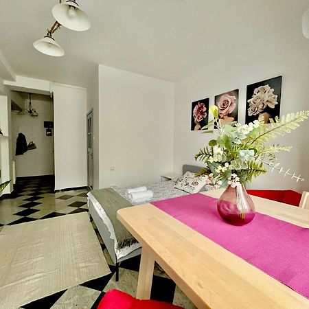 Victoriei Spacious Studio 부쿠레슈티 외부 사진