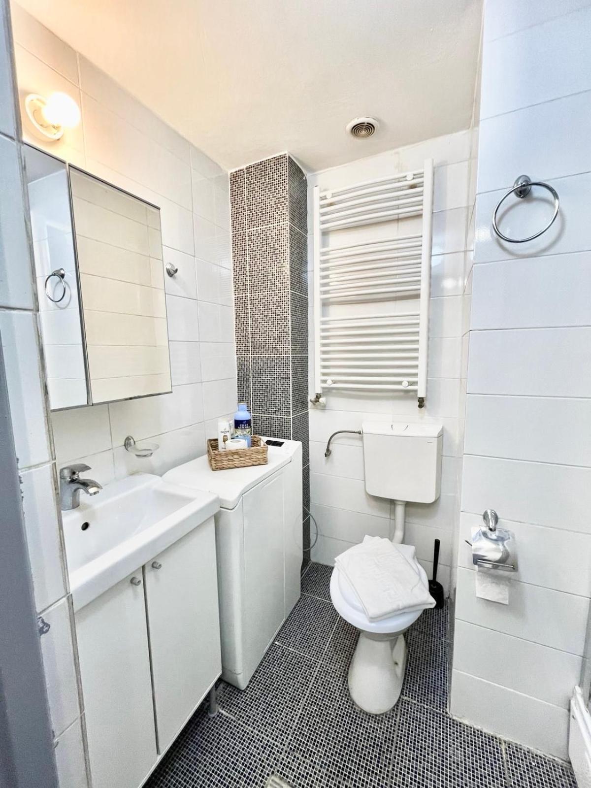 Victoriei Spacious Studio 부쿠레슈티 외부 사진