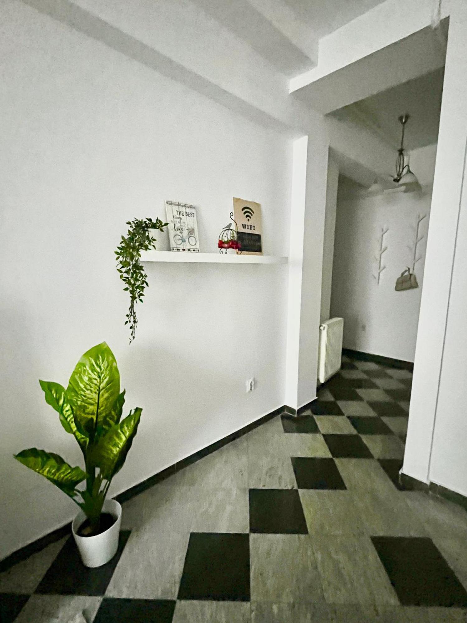Victoriei Spacious Studio 부쿠레슈티 외부 사진