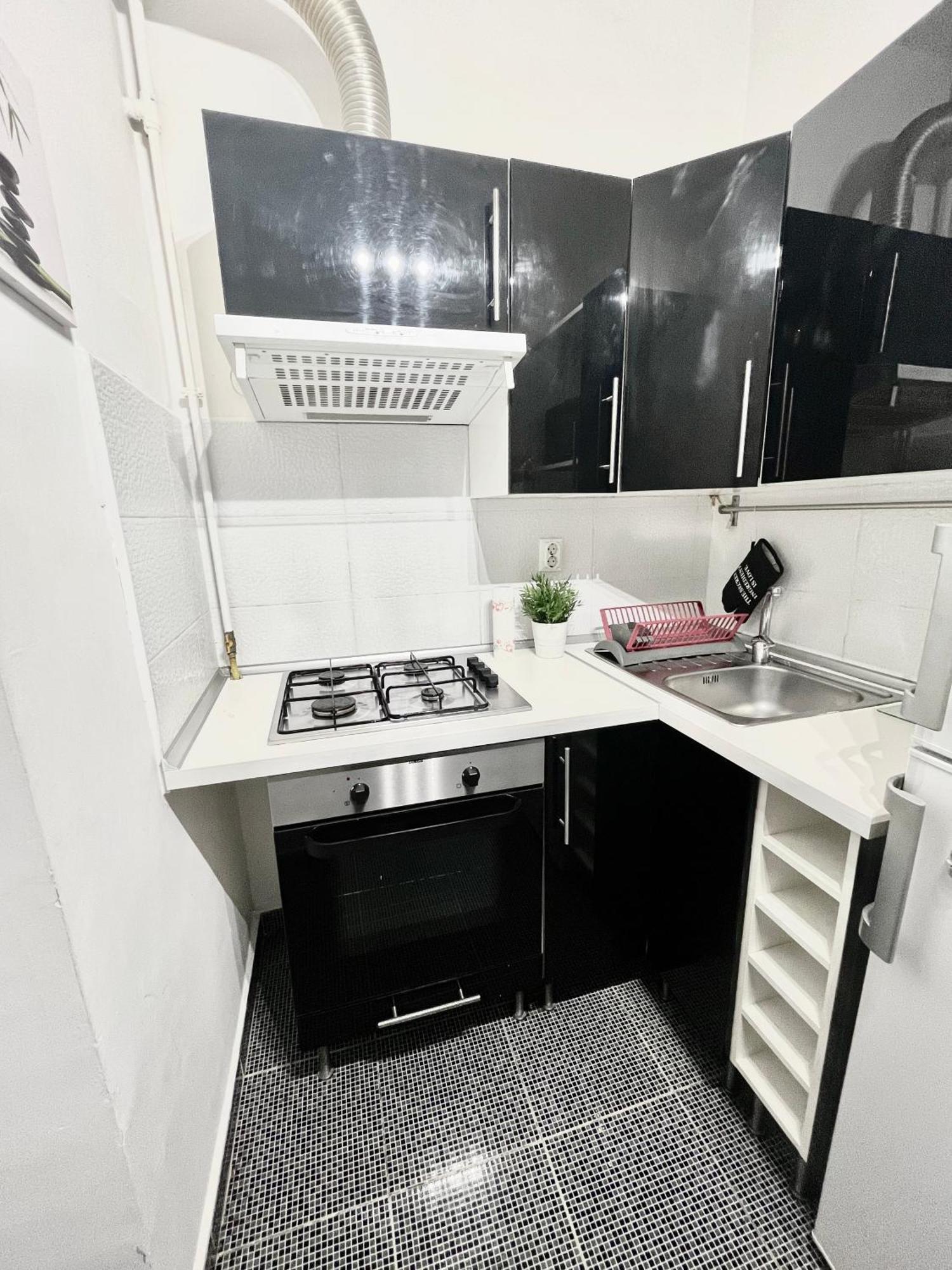 Victoriei Spacious Studio 부쿠레슈티 외부 사진