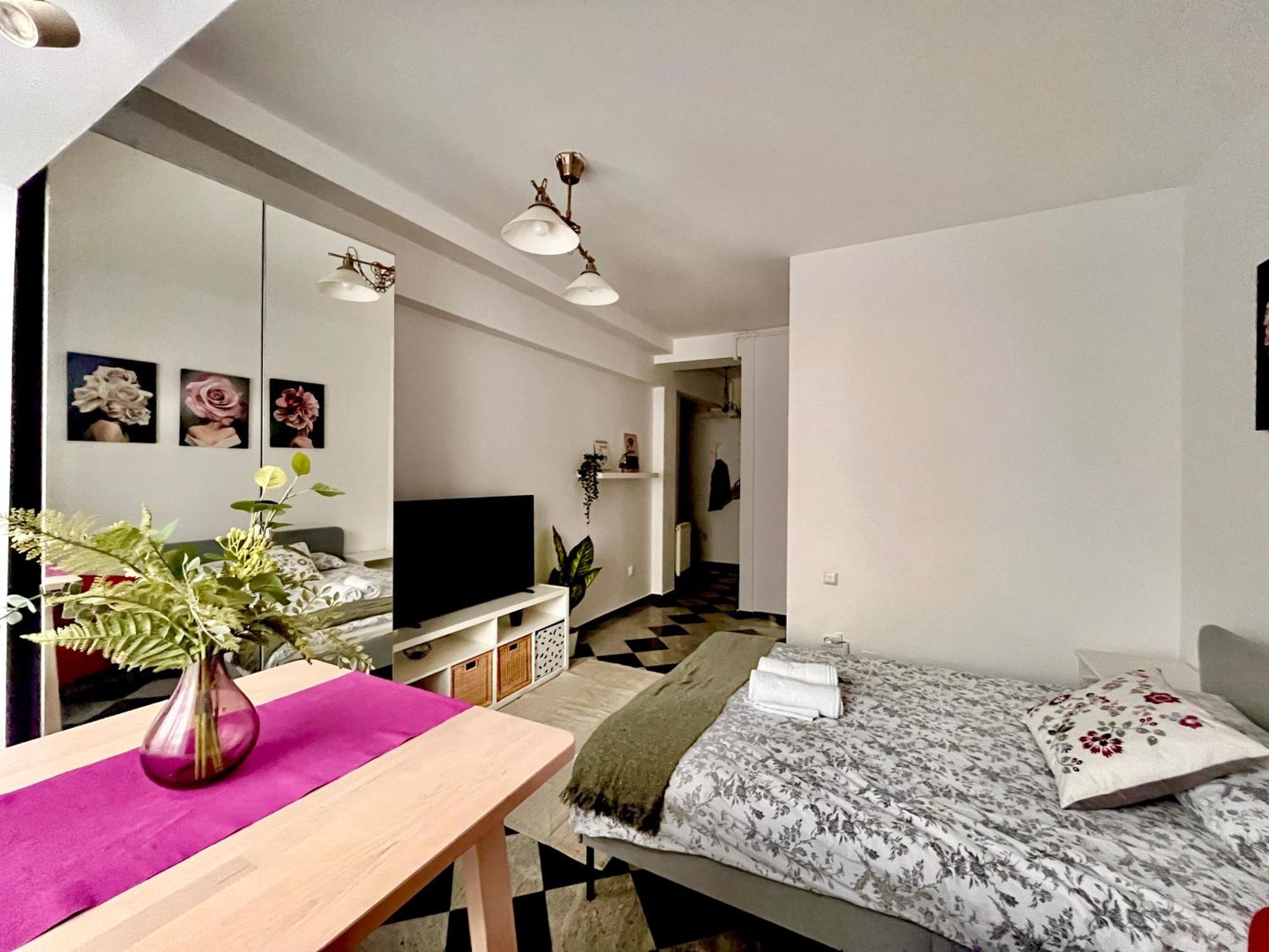 Victoriei Spacious Studio 부쿠레슈티 외부 사진